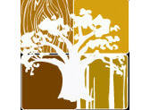 Dubai WoodShow 2014 - lancé le 8 avril, avec la participation de 500 entreprises dans 40 pays