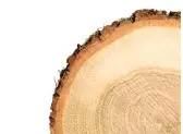 Laminato Di Legno Incollato Mercato 2019