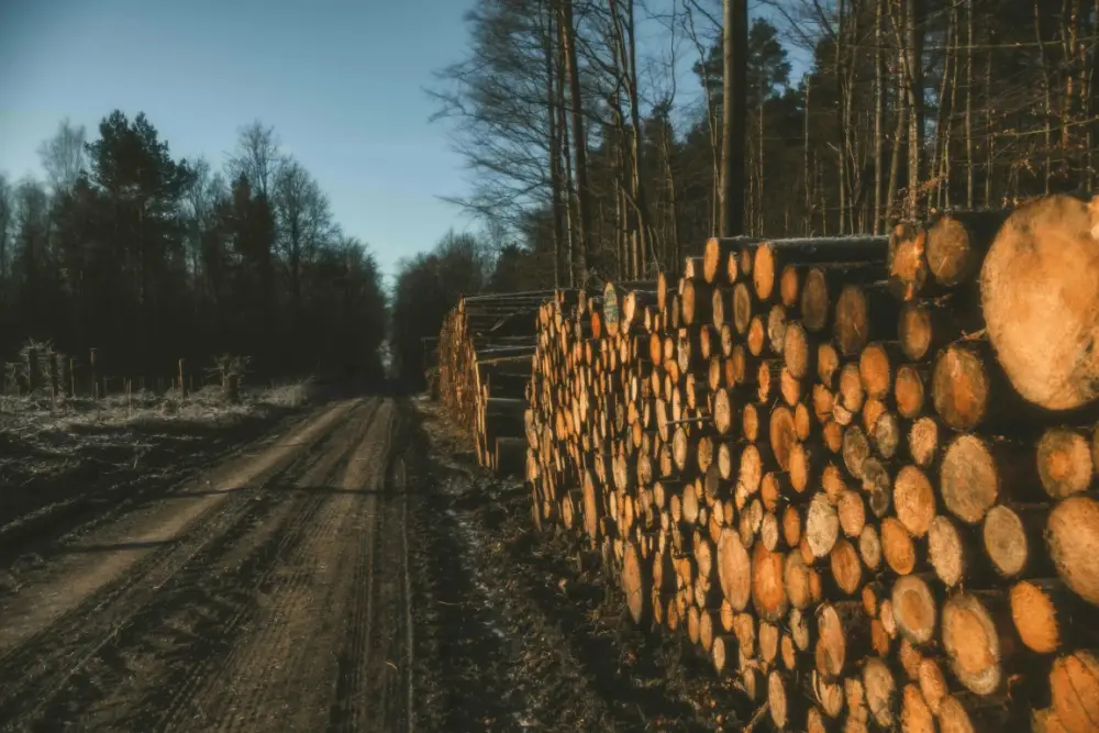 SUMAL 3.0: Enhancing Traceability in Romania`s Wood Industry
