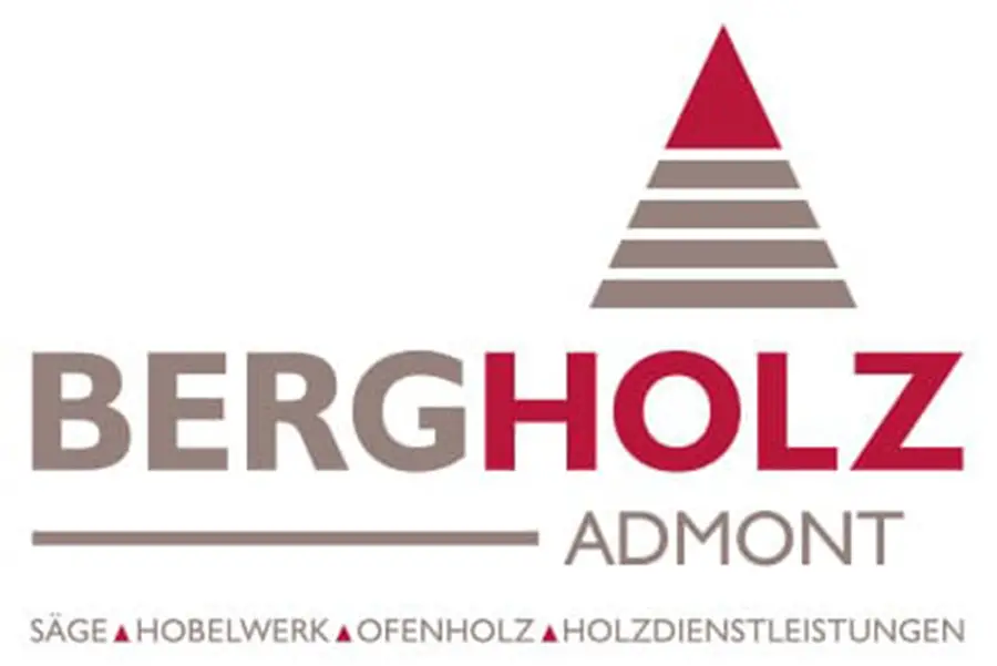 Bergholz Admont GmbH is undergoing significant financial challenges