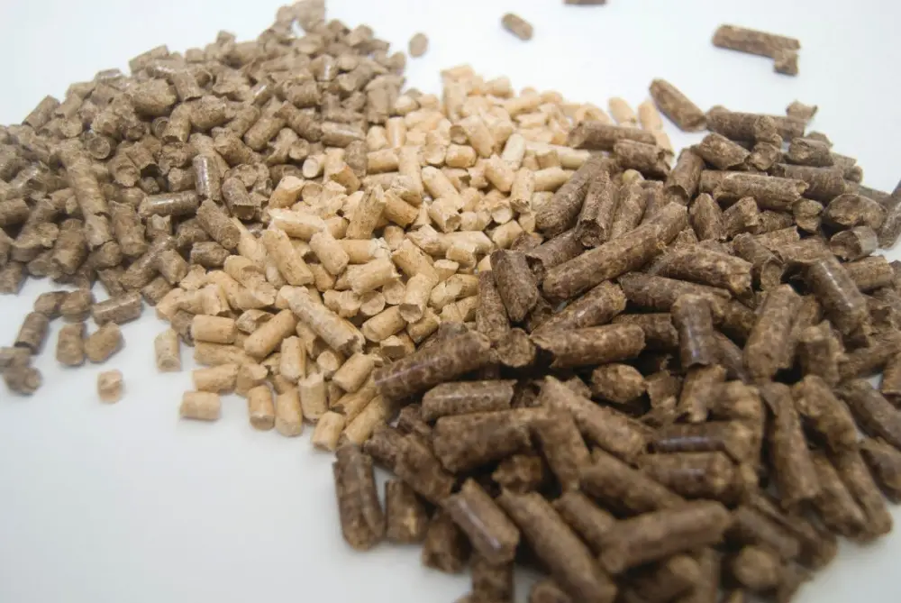 The Wood Pellets Market Grows as Demand for Carbon-Neutral Fuel Rises
