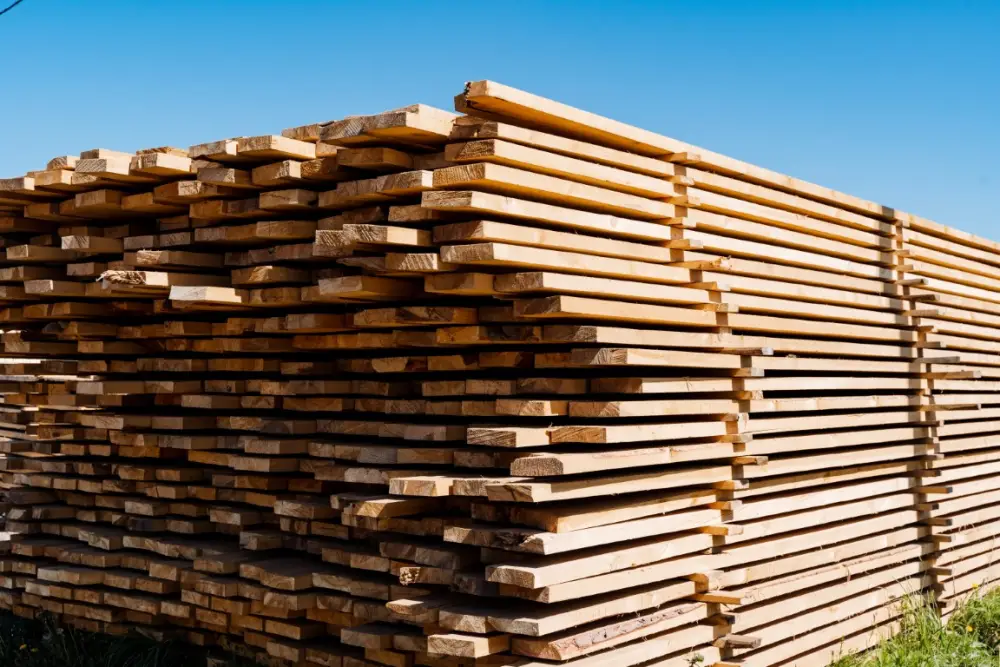 Lumber Price Projections for 2025 in Europe