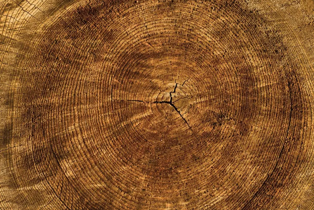Growth of Oriented Strand Board (OSB) in European Markets
