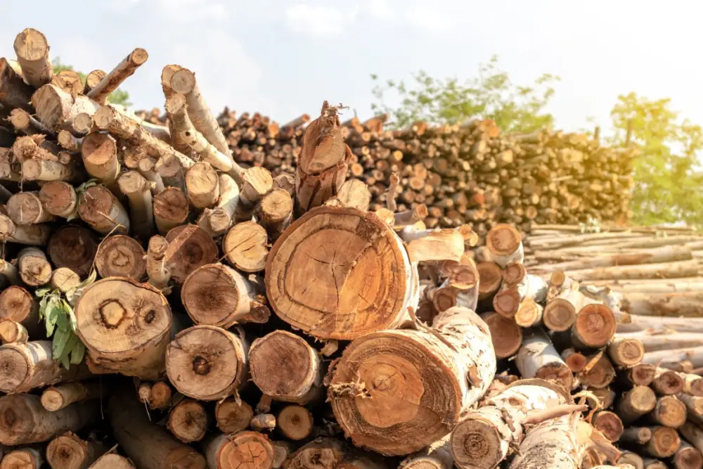 United Kingdom`s timber import landscape in 2024
