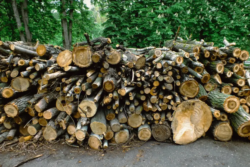 Sweden`s Wood Industry: Navigating U.S. Policies and Market Dynamics