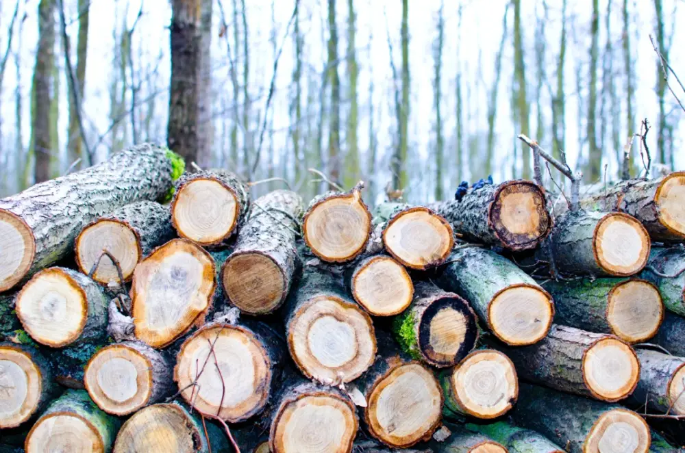 The Canada - U.S. Softwood Lumber Dispute