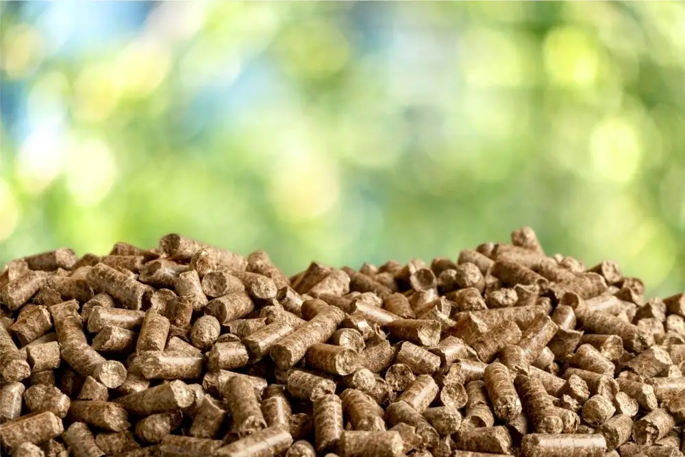 South Korea`s Biomass Subsidy Reduction: Implications for the Global Wood Industry​