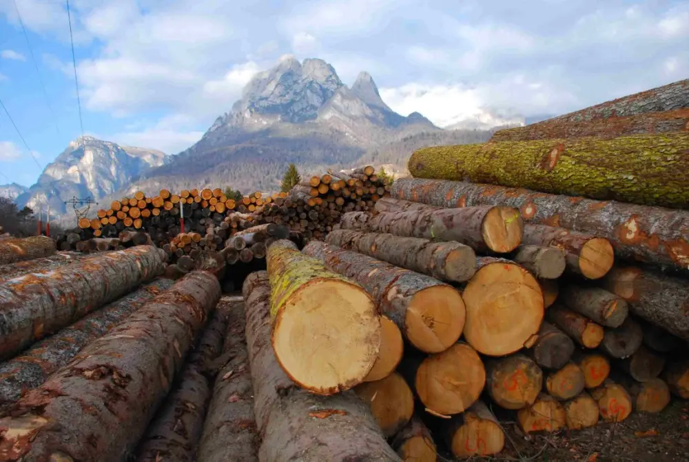Can Canada Finally Sell More of Its Lumber Overseas?