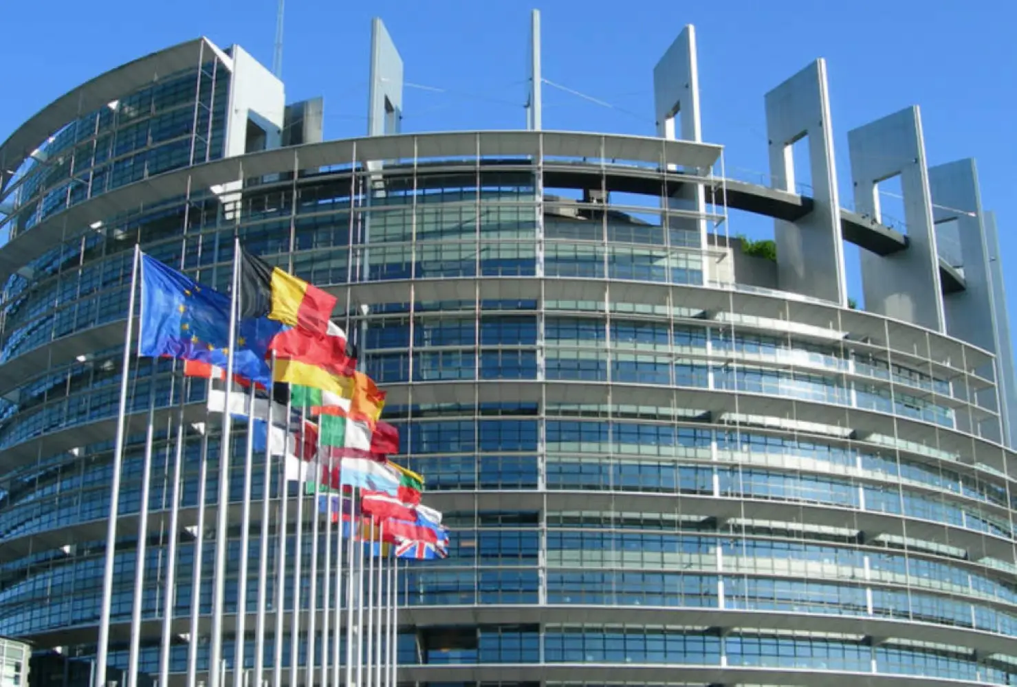 EU Parliament Delays Deforestation-Free Supply Chain Law to 2026