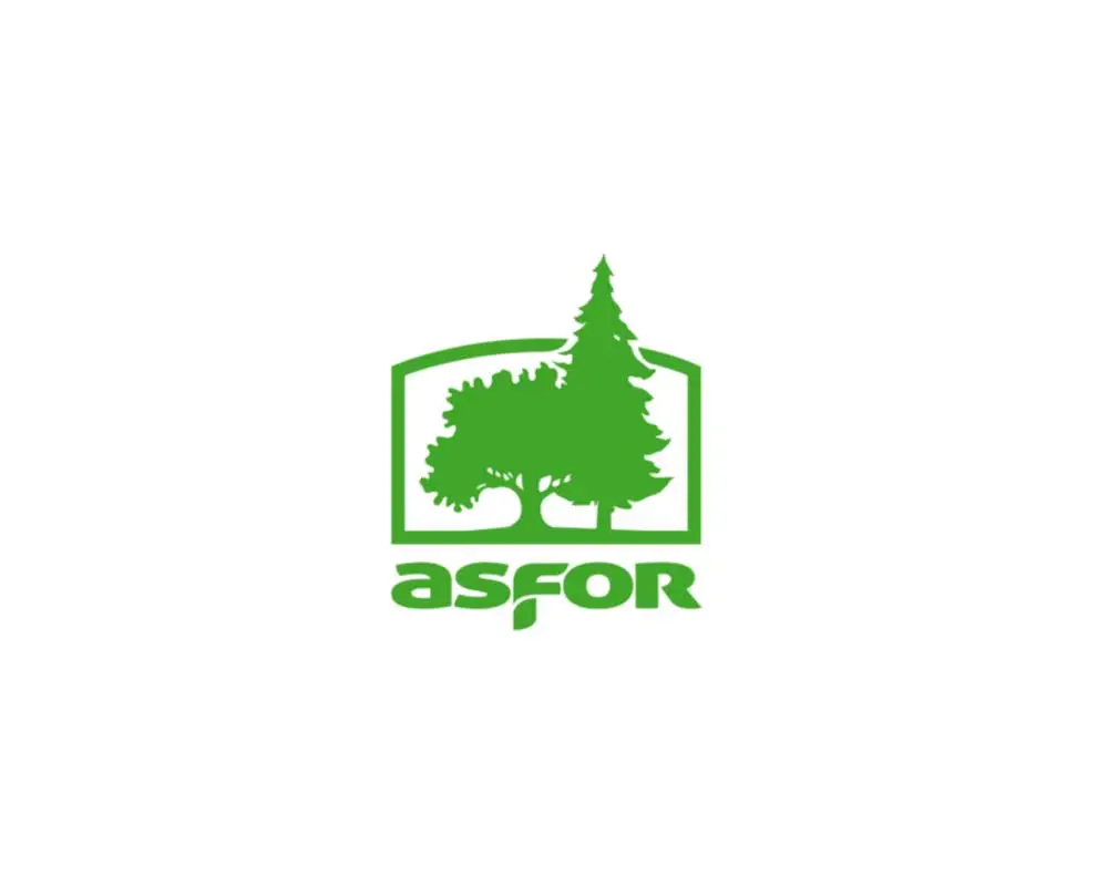 ASFOR at the High-Level Conference 