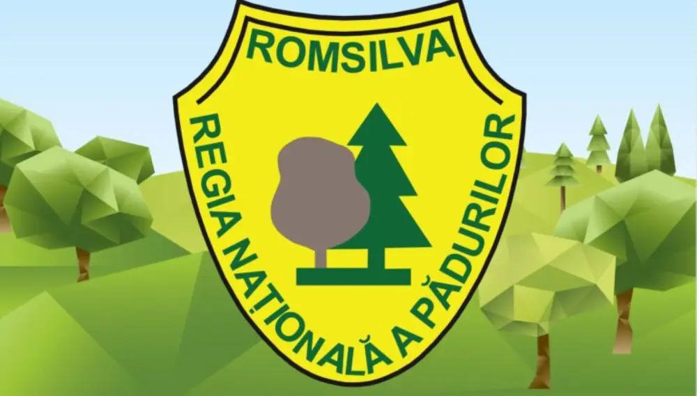 Forestry Trade Unions Challenge the Reorganization of Romsilva in Court: Implications for Romania`s Wood Industry