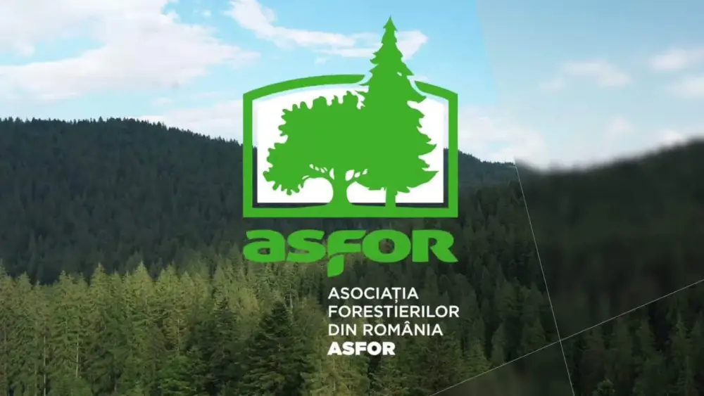 Romanian Foresters Association Proposes 25% Wood Use in New Public Buildings