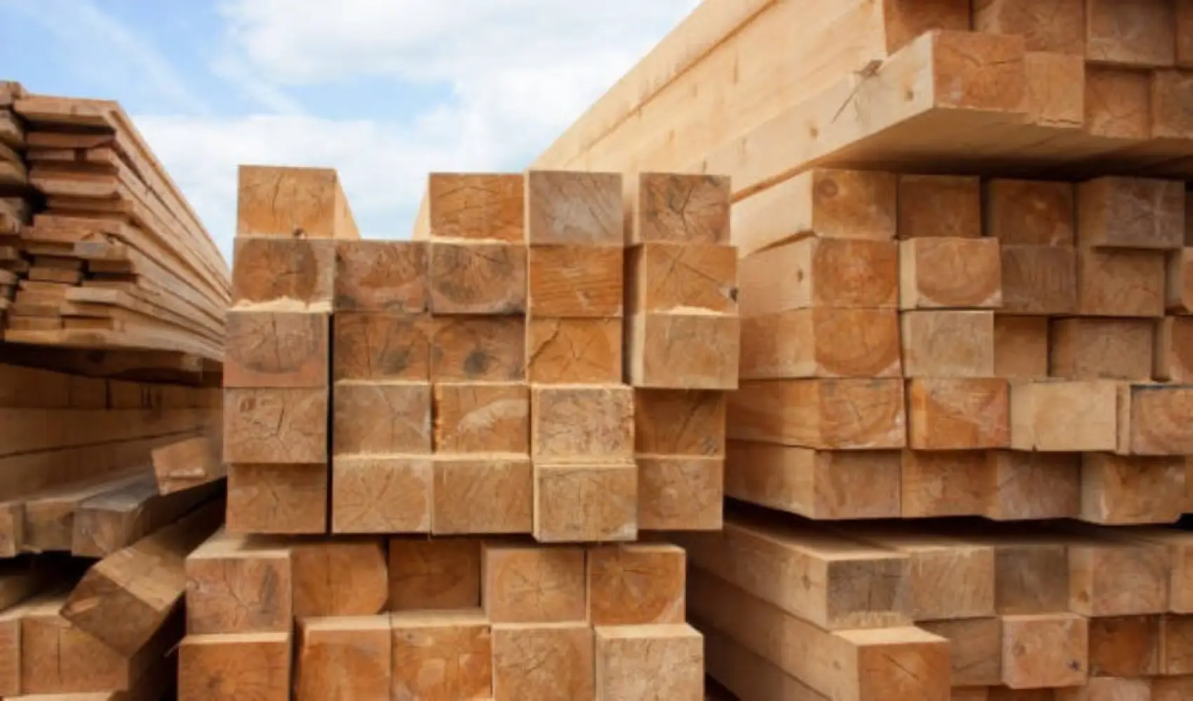 European Union`s Densified Wood Market Set to Reach 575 000 Tons and $774 Million by 2035