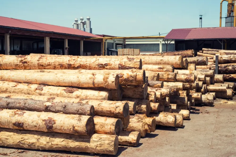 The Wood Market in 2026: Romania and Europe - Prices, Demand and Industry Trends