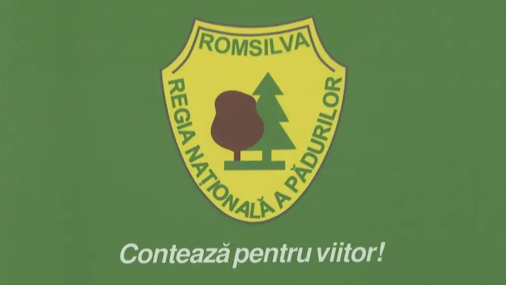 Romsilva Reorganization: Strategic Directions and Implications for the Wood Industry