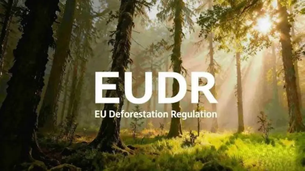 New Online Training Sessions on the EUDR Information System