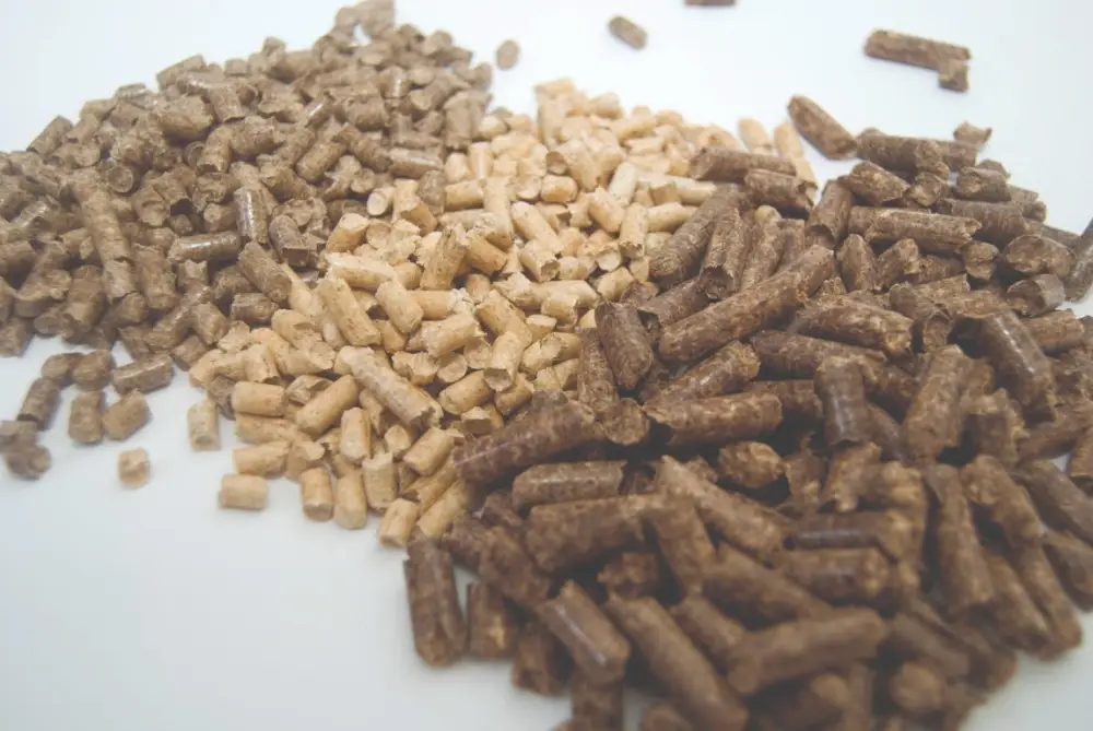 Japan`s Biomass Energy Boom Threatens to Drive Further Deforestation in Indonesia
