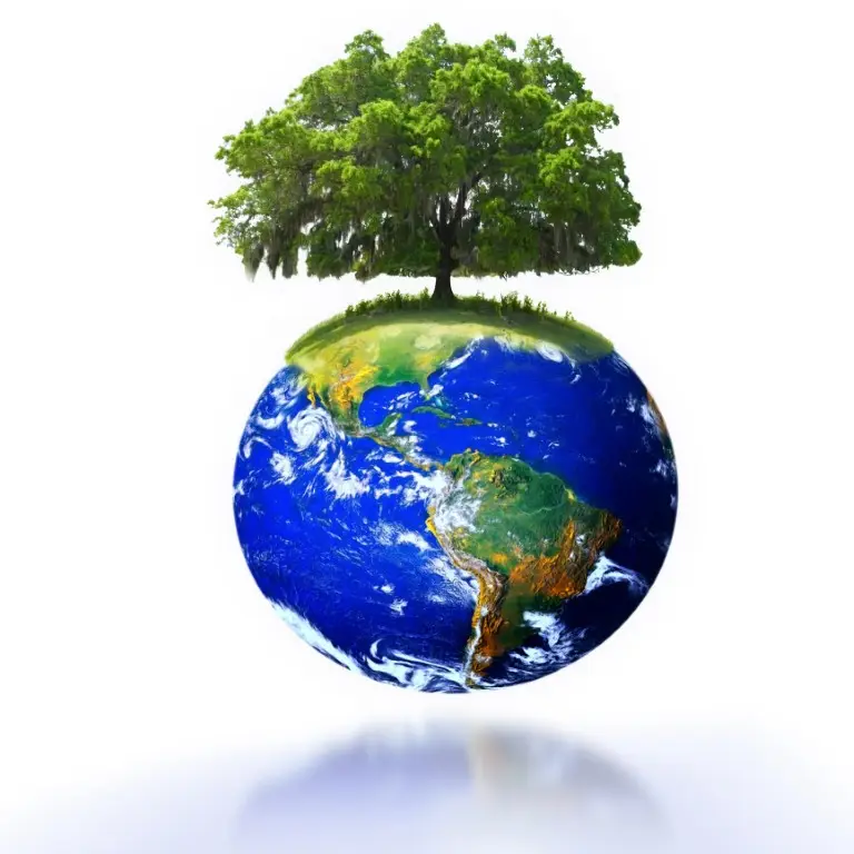 Do We Still Have Enough Wood? The Resource Exists, but Access to Raw Material Is Becoming More Important