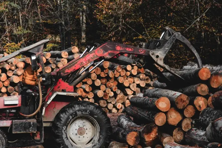 European hardwood sawmills push for more local processing of logs