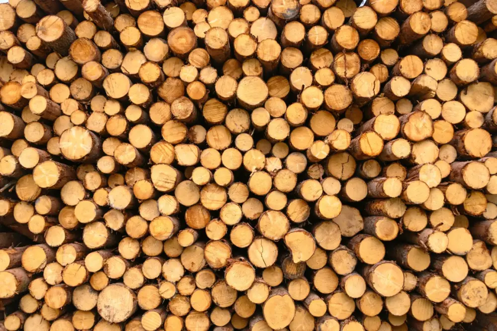 EU Softwood Lumber Exports to the Middle East and North Africa Fell by 13.8%