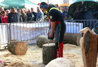 p_1LAS-EXPO Timber Industry and Forest Resources Management Fair