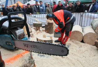 p_4LAS-EXPO Timber Industry and Forest Resources Management Fair