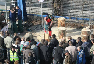 p_5LAS-EXPO Timber Industry and Forest Resources Management Fair